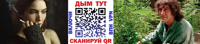 Канабис планчик  МЕГА как войти  Бирюч 